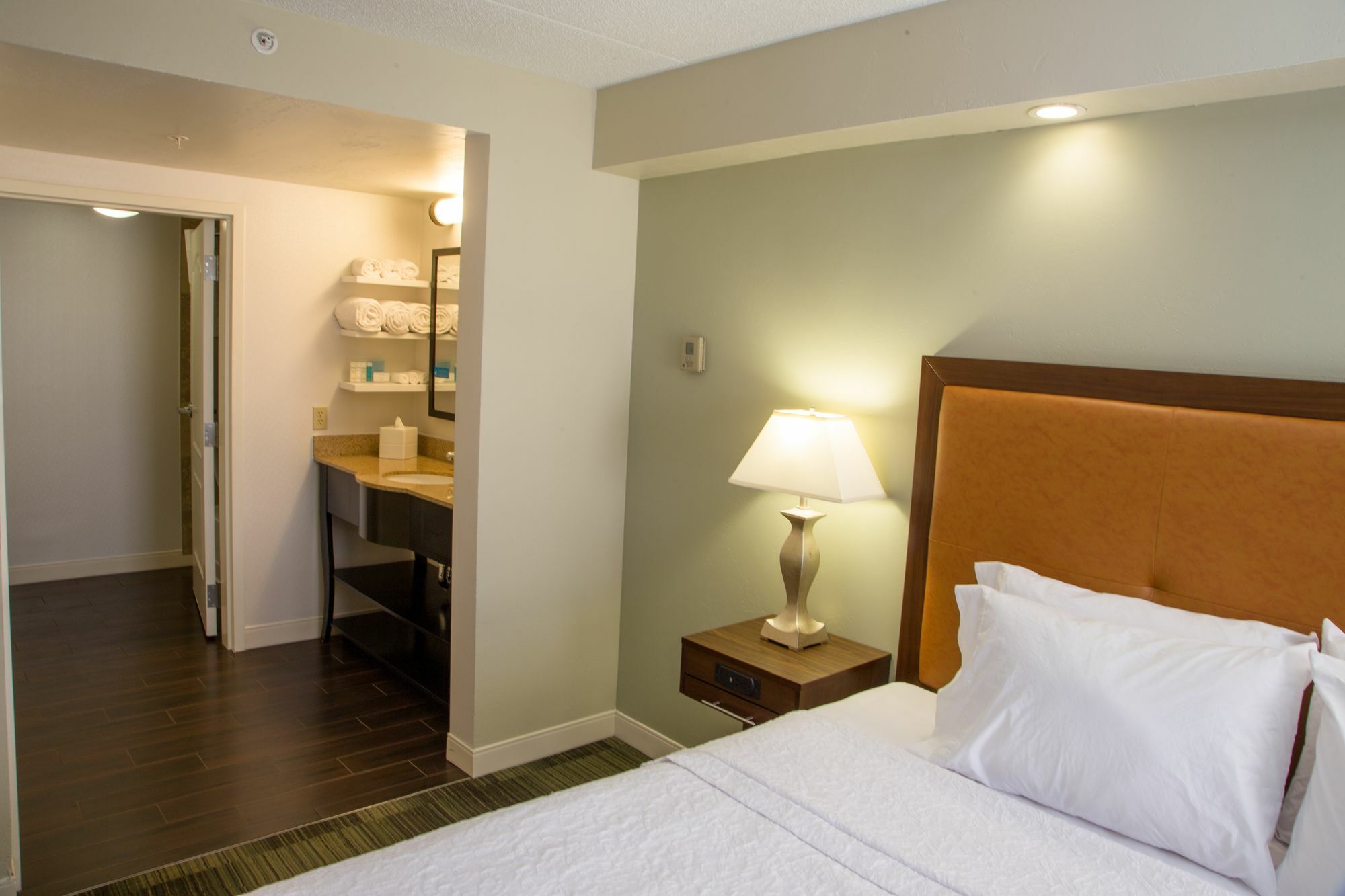 Hampton Inn & Suites Albany-Downtown Ngoại thất bức ảnh